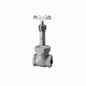 RWV® 318A 1 Standard Gate Valve, 1 in Nominal, Thread End Style, Cast Bronze Body, Handwheel Actuator