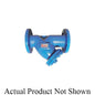 Wye Strainer with #20 Mesh Stainless Steel Screen - 2-1/2"