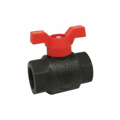 RWV® 5071PP 1 1-Piece Standard Quarter-Turn Ball Valve, 1 in Nominal, Thread End Style, Polypropylene Body, Full Port, NBR Softgoods