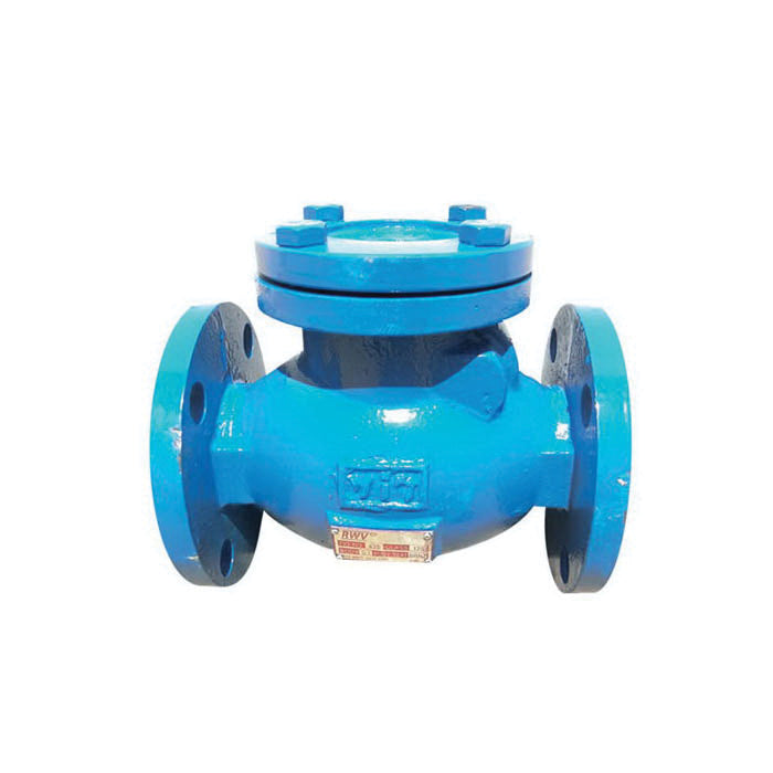 3 Swing Check Valve - Cast Iron - Flanged