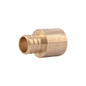 Sharkbite® UC605LF Adapter, 1 in Nominal, Female C x PEX End Style, Brass, Import