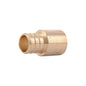3/4" Adapter - Brass - PEX Barb x Male C