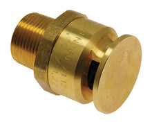 Rheem® SP623336 Vacuum Relief Valve, Brass and Plastic Body