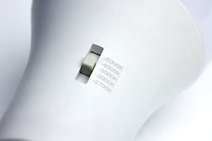 Type A Lamp - 8.8 W