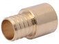 Sharkbite® UC609LF Adapter, 1 x 1 in Nominal, Male End Style, DZR Brass