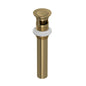 Shaws 0127DOFAG Drain Slotted Touch Non-Slotted Grid, Gold