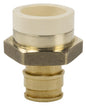 1" Straight Adapter - Brass - CPVC x F1960 PEX Grip