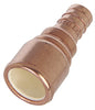 1/2" Straight Adapter Coupling - Copper