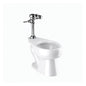 Royal Wets-2020 Flushometer and Water Closet - 17" H Rim