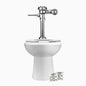 Royal Wets-2022 Dual-Flush Flushometer - and Water Closet