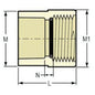 1/2" Female Adapter - CPVC - CTS Socket x Npsc