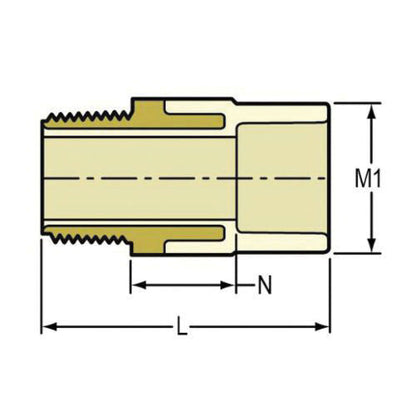 1/2" Transition Male Adapter - CPVC - SCH 40/Std