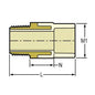 1/2" Transition Male Adapter - CPVC - SCH 40/Std