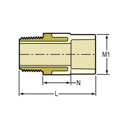 1" Male Adapter - CPVC - Socket x MNPT