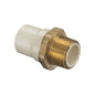 1" Male Adapter - CPVC - Socket x MNPT