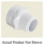 1/2" PVC Riser - MNPT x FNPT