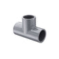 1/4" Standard Tee - CPVC - Socket