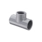 1" Standard Tee - CPVC - Socket x Socket x FNPT