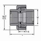 1/2" Union - CPVC - FNPT