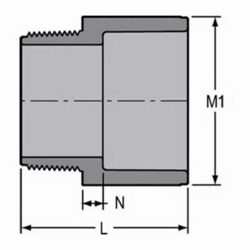 6" Standard Male Adapter - CPVC - MNPT x Socket