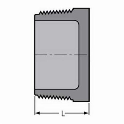 4" Plug - CPVC - MNPT