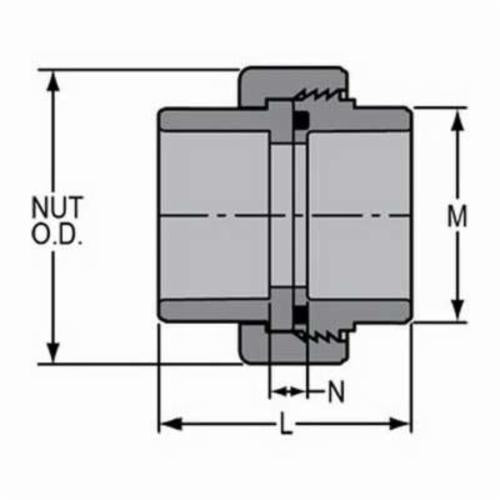 1/2" Union - CPVC - Socket