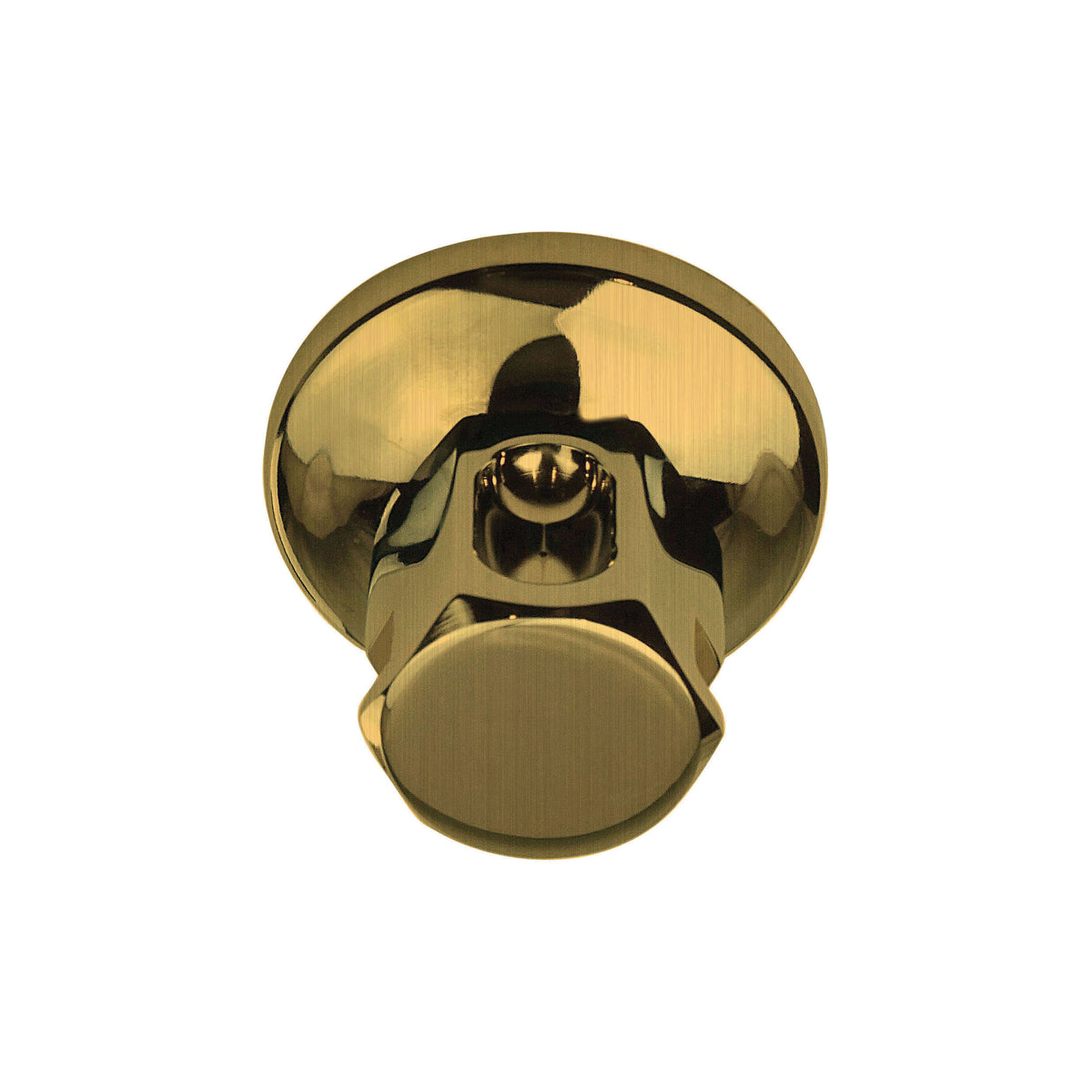 Old Style - Steam Shower Head - 1/2" NPT Connection