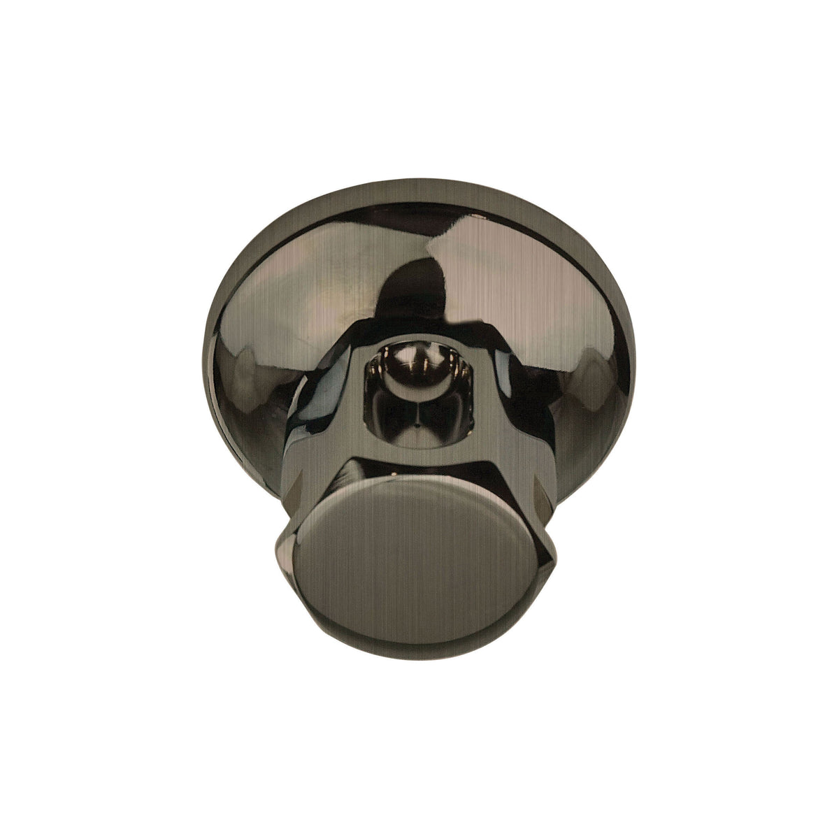 Old Style - Steam Shower Head - 1/2" NPT Connection