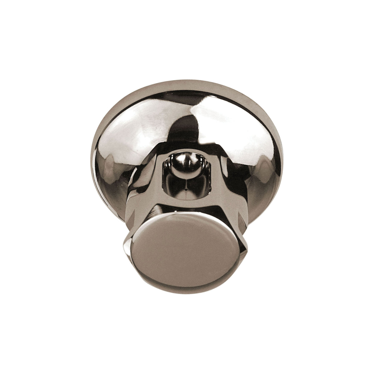 Old Style - Steam Shower Head - 1/2" NPT Connection