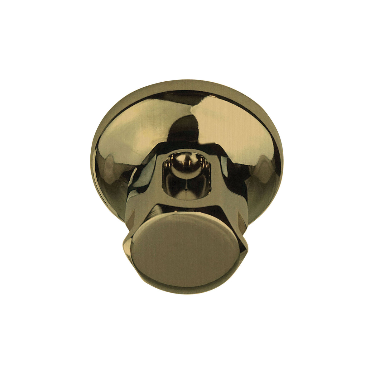 Old Style - Steam Shower Head - 1/2" NPT Connection