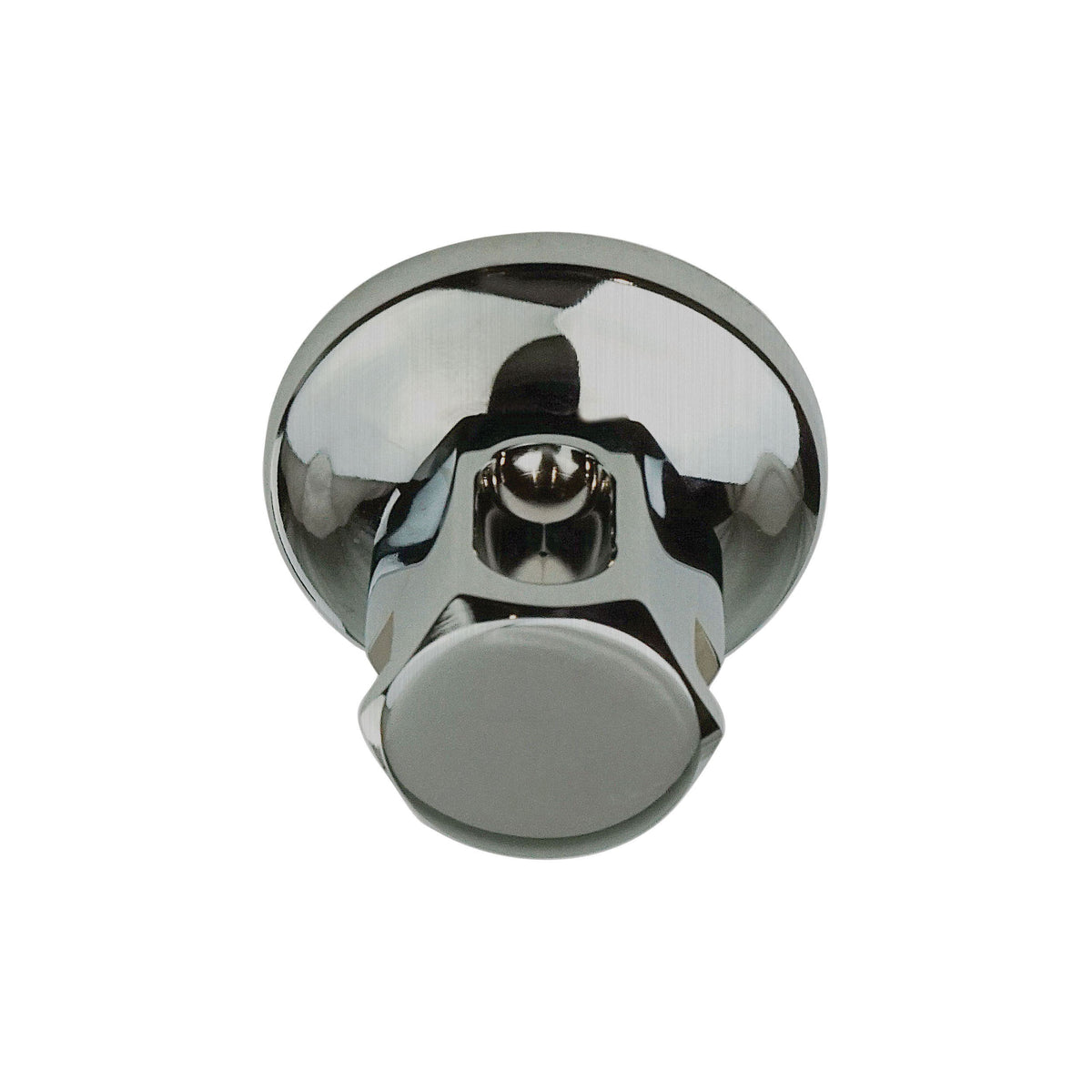 Old Style - Steam Shower Head - 1/2" NPT Connection