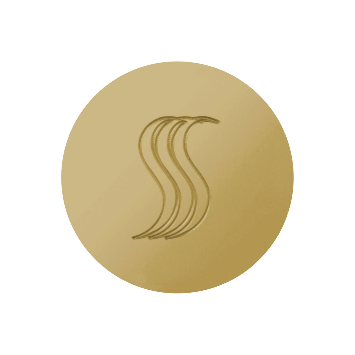 THERMASOL® SteamVection Contemporary Round Steam Shower Head, 1-3/4 in Dia, NPT Connection, Brass, Domestic