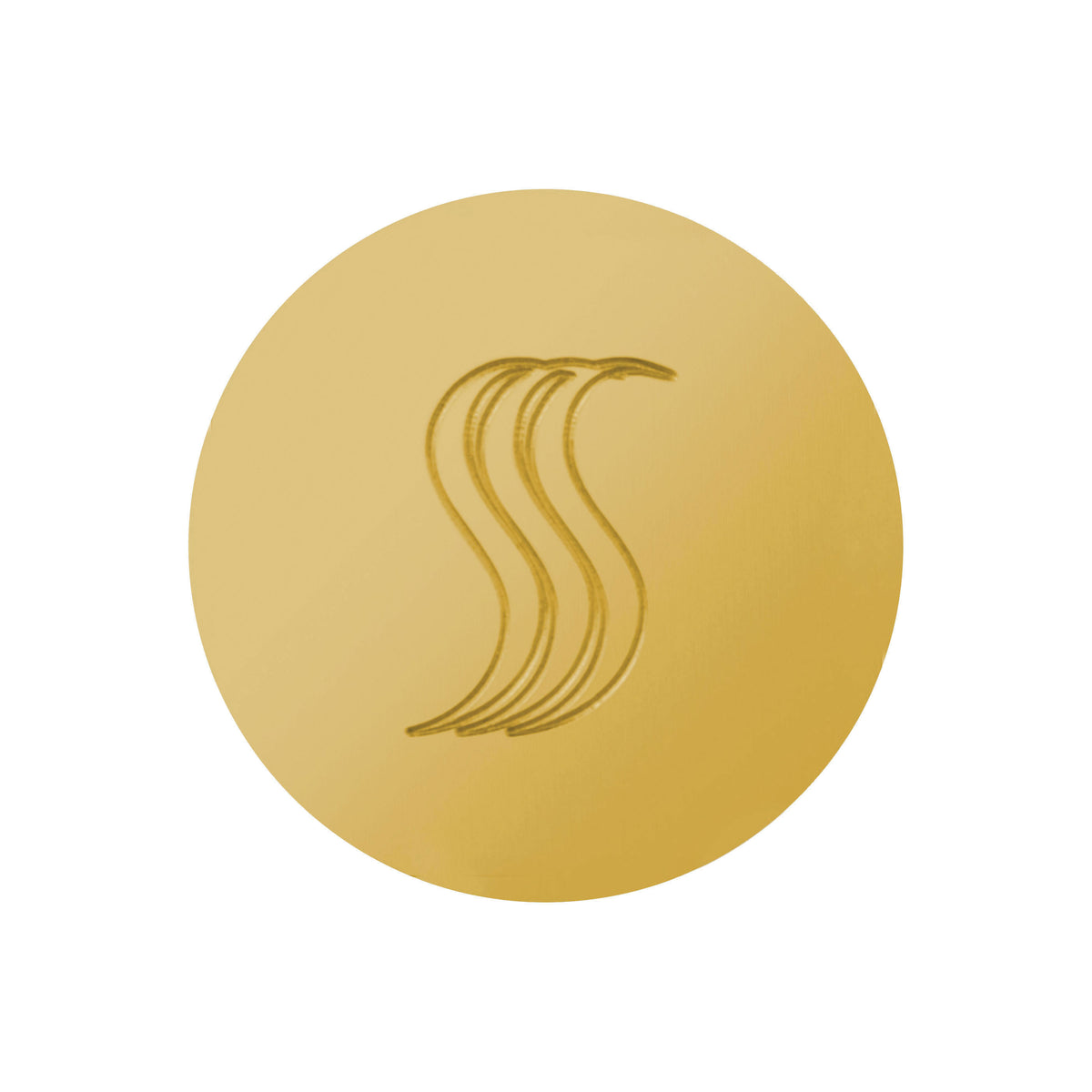 THERMASOL® SteamVection Contemporary Round Steam Shower Head, 1-3/4 in Dia, NPT Connection, Brass, Domestic