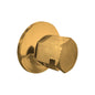 Traditional Steamhead - Antique Brass