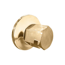 Traditional Steamhead - Satin Brass