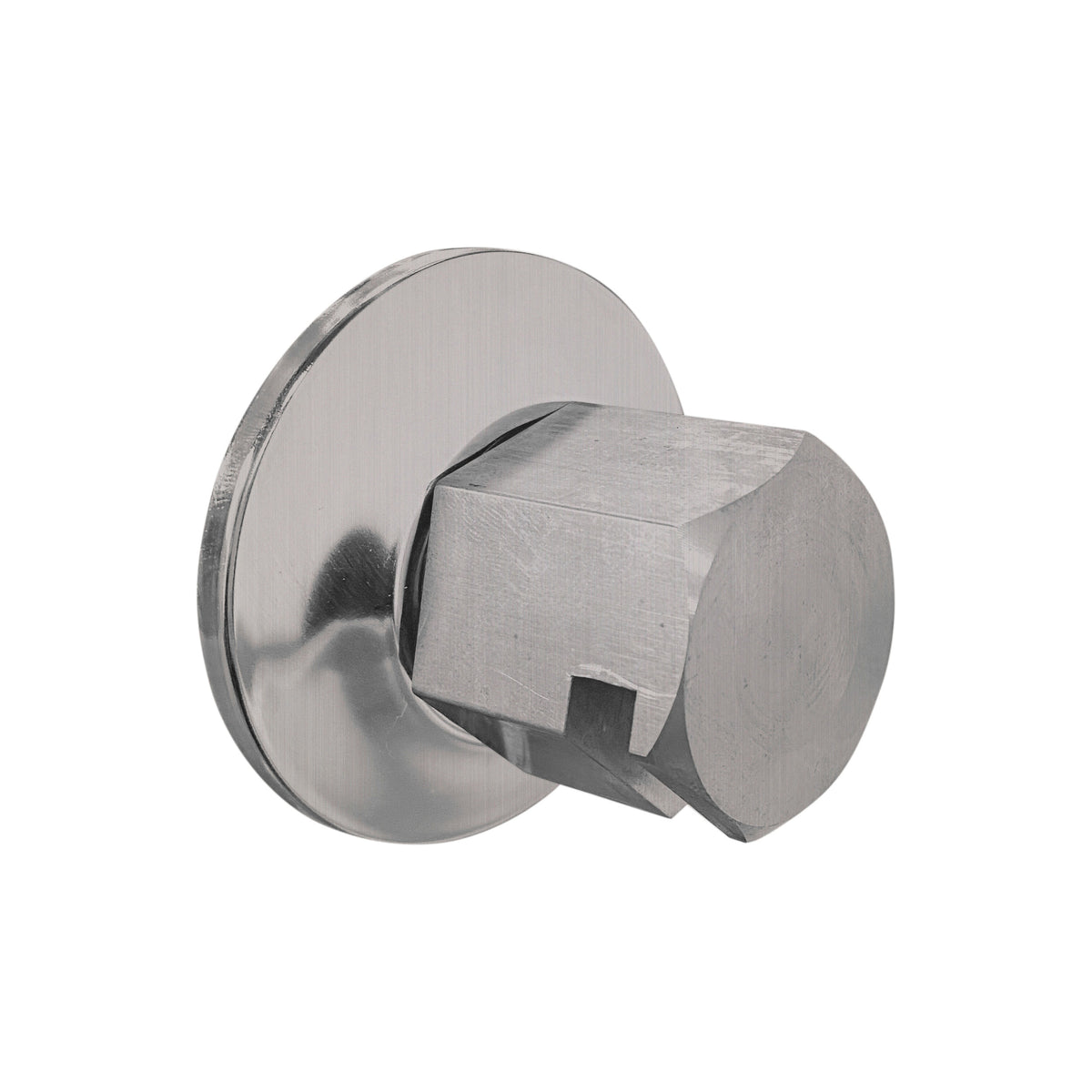 Traditional Steamhead - Satin Chrome