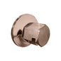 Traditional Steamhead - Satin Nickel