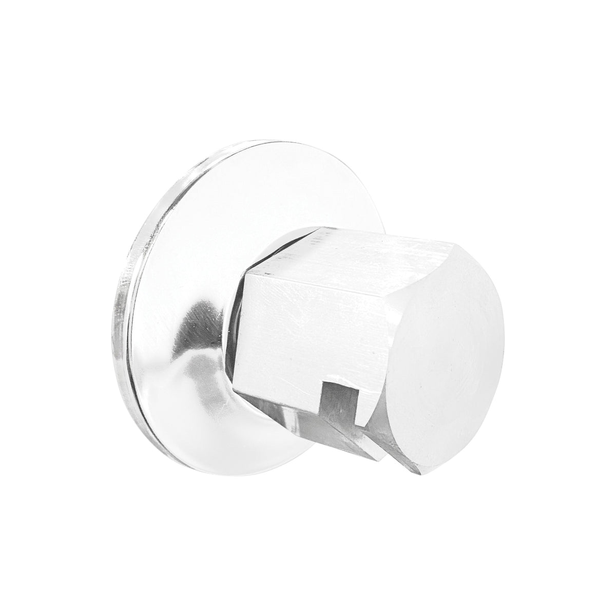 Traditional Steamhead - White