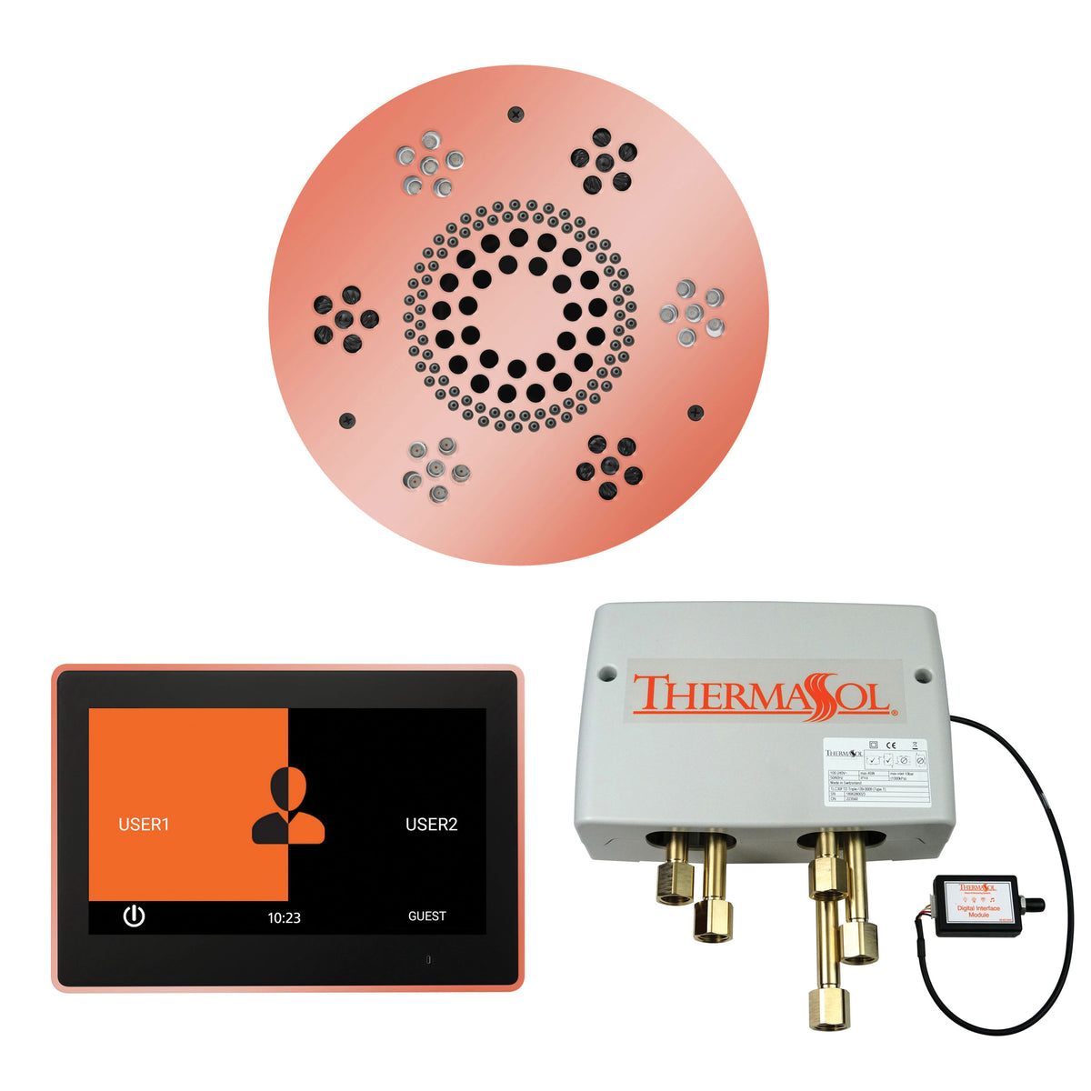 Wellness - Shower Package with Trim - Ceiling Mount - WSP10R