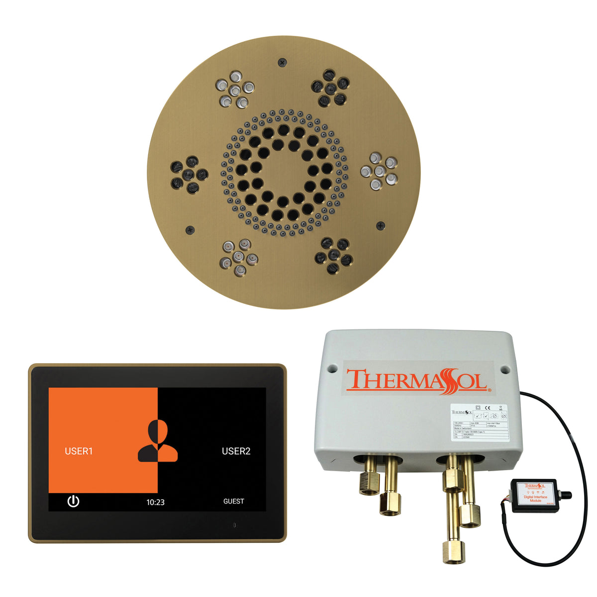 Wellness - Shower Package with Trim - Ceiling Mount - WSP10R