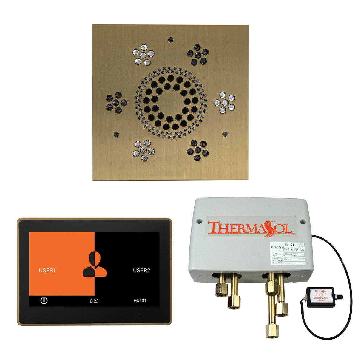 Wellness - Shower Package with Trim - Ceiling Mount - WSP10S