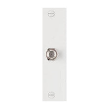 WHT 1G Coax Wall Plate