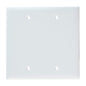 White 2G Blnk Nyl Plate - TV377697