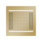 Hydrovive - 1-Function Rain Shower Head - Polished Brass