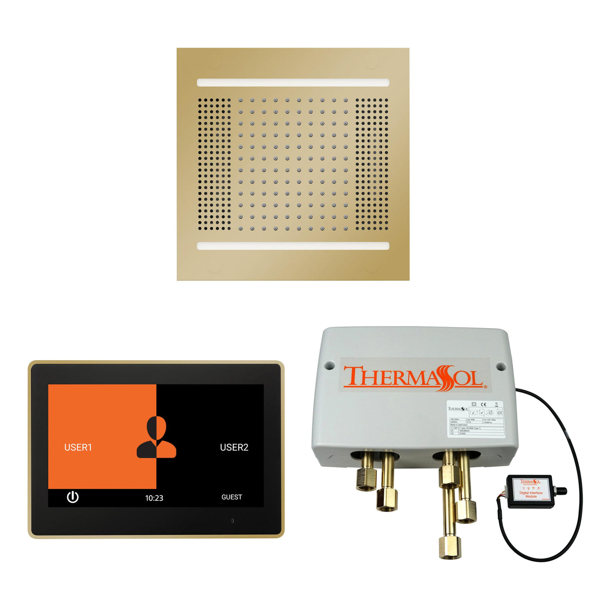 Hydrovive 14 - Shower Kit - Polished Brass - LCD Display