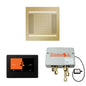 Hydrovive 14 - Shower Kit - Polished Brass