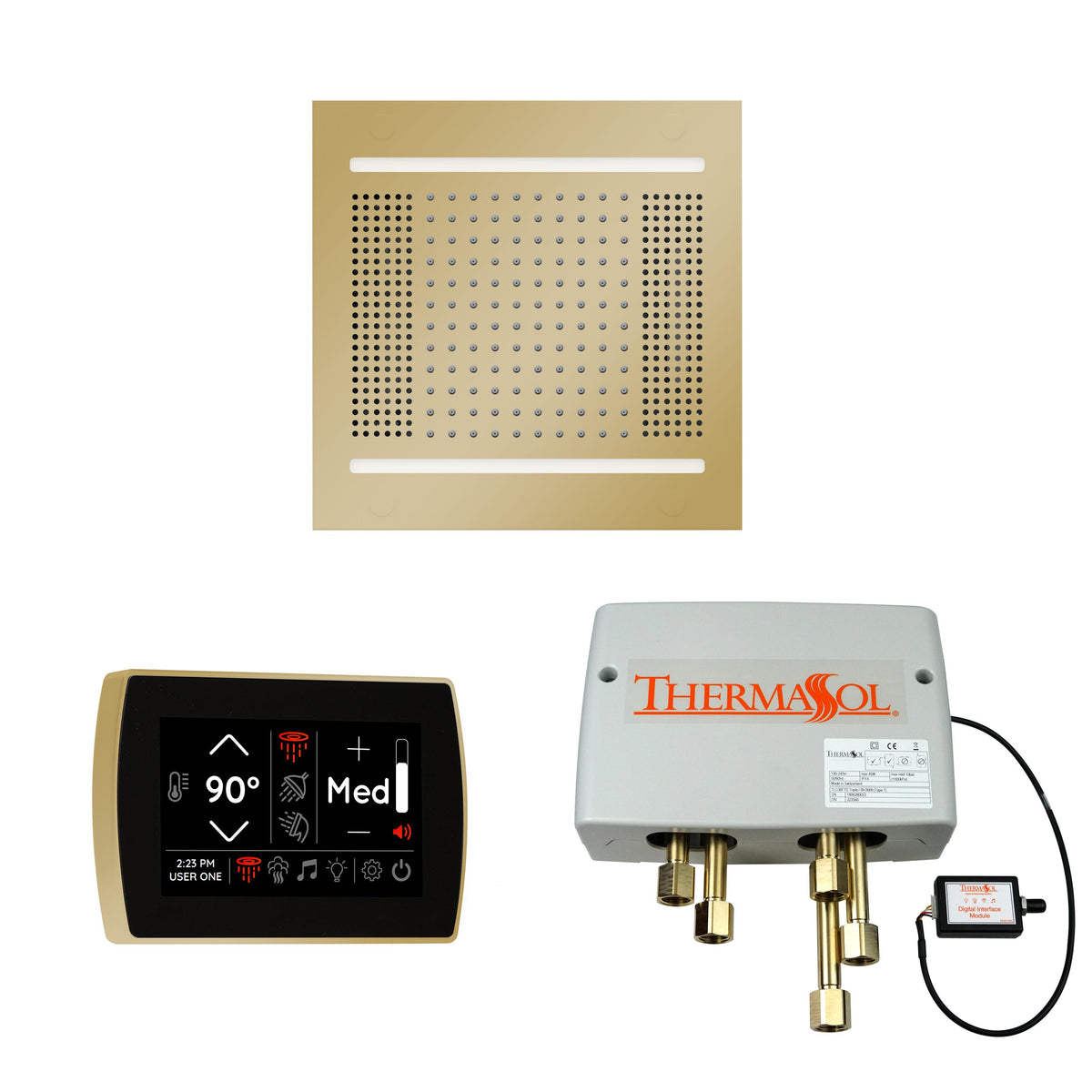 Hydrovive 14 - Shower Kit - Polished Brass - Ceiling Mount