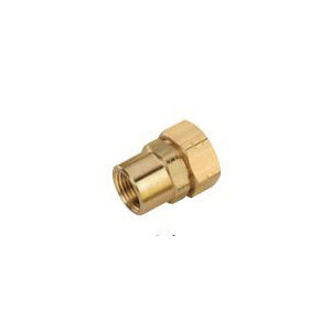 3/4" Fsftgfm-11-24 Straight Fitting - FNPT