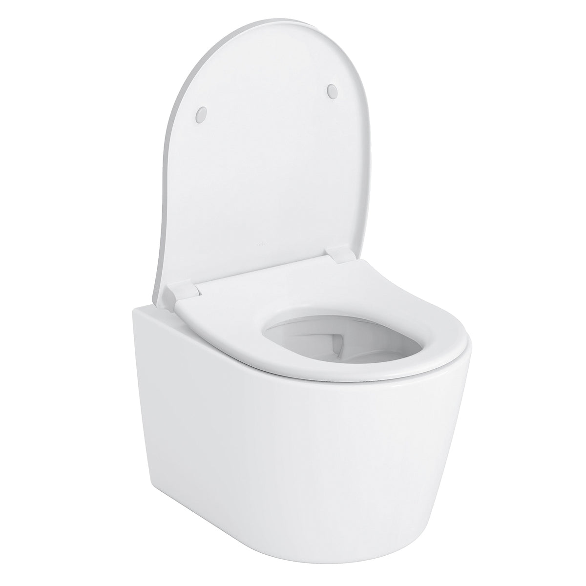 Rp - Wall-Hung Toilet and - Wall Mount - D-Shape