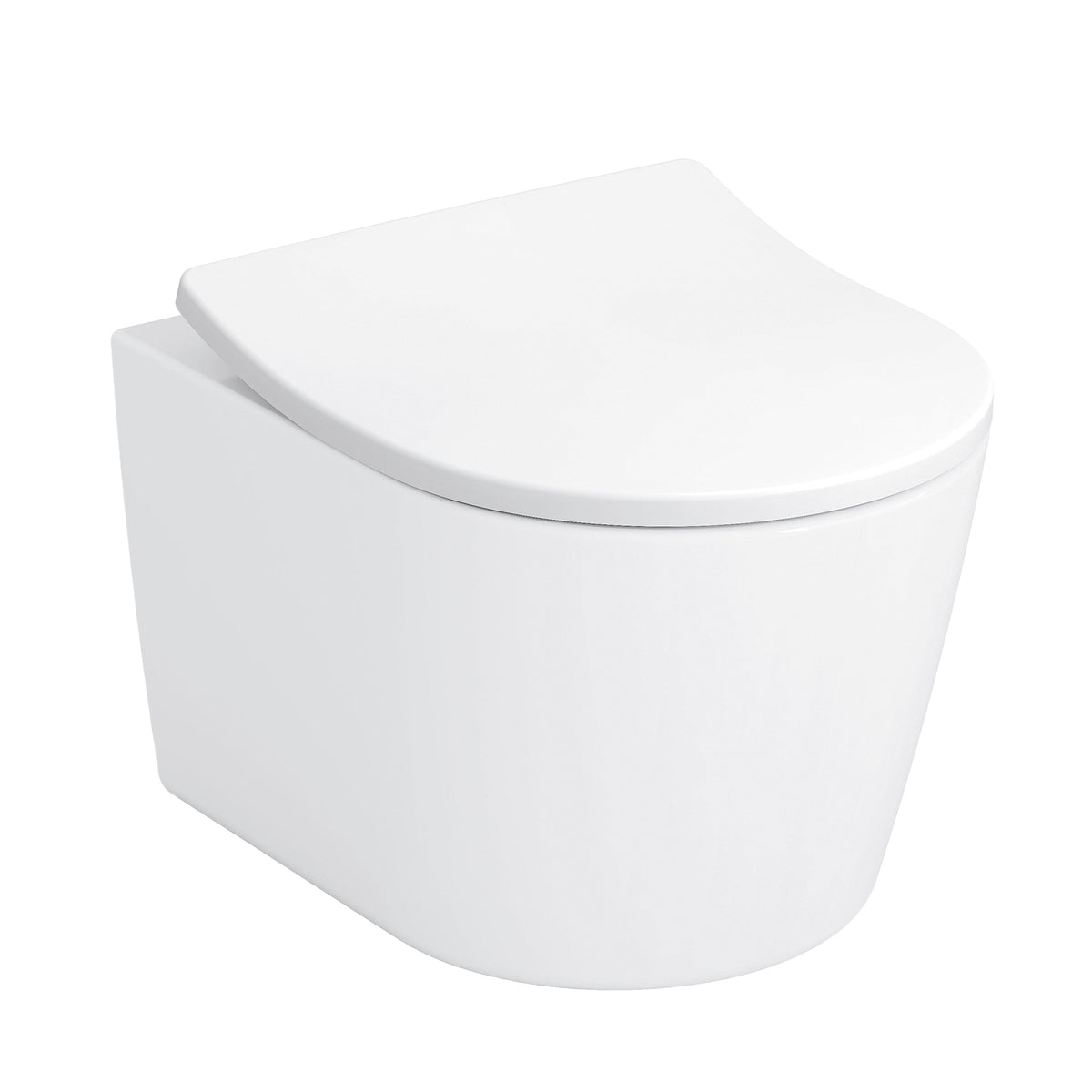Rp - Wall-Hung Toilet and - Wall Mount - D-Shape